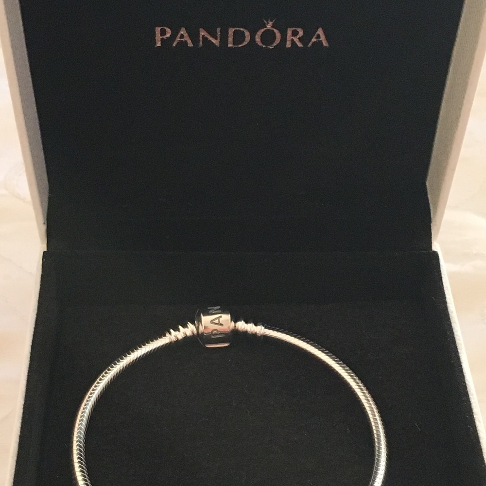 Pandora Iconic Sterling Silver Charm Bracelet - Picture 2 of 3